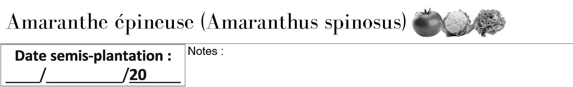 Étiquette de : Amaranthus spinosus - format a - style noire60bod avec comestibilité simplifiée