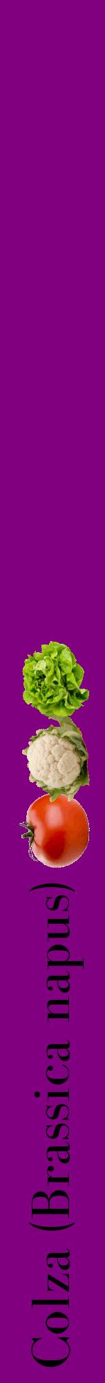 Étiquette de : Brassica napus - format a - style noire46bod avec comestibilité simplifiée