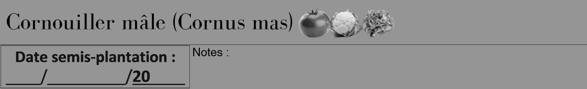 Étiquette de : Cornus mas - format a - style noire16bod avec comestibilité simplifiée