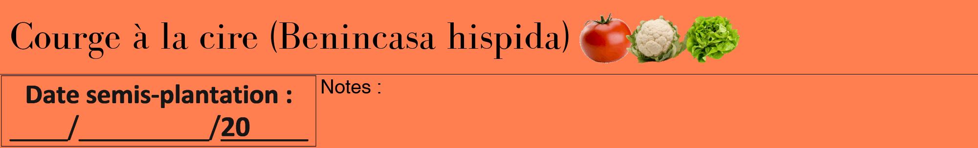 Étiquette de : Benincasa hispida - format a - style noire24bod avec comestibilité simplifiée
