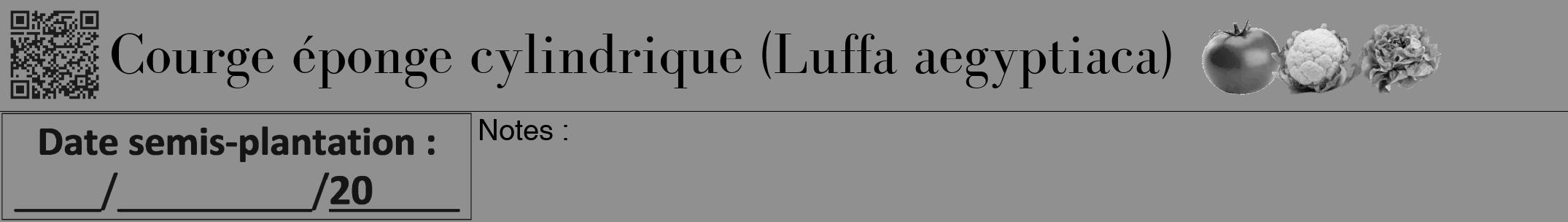 Étiquette de : Luffa aegyptiaca - format a - style noire4bod avec qrcode et comestibilité simplifiée