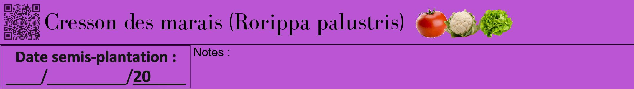 Étiquette de : Rorippa palustris - format a - style noire50bod avec qrcode et comestibilité simplifiée