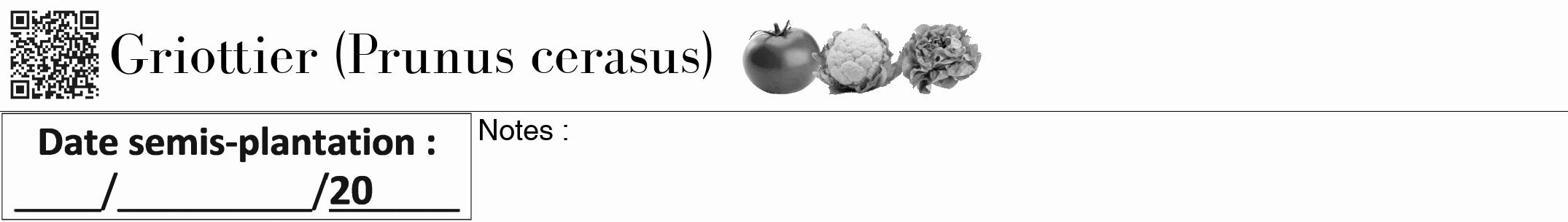 Étiquette de : Prunus cerasus - format a - style noire19bod avec qrcode et comestibilité simplifiée