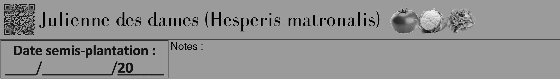 Étiquette de : Hesperis matronalis - format a - style noire52bod avec qrcode et comestibilité simplifiée