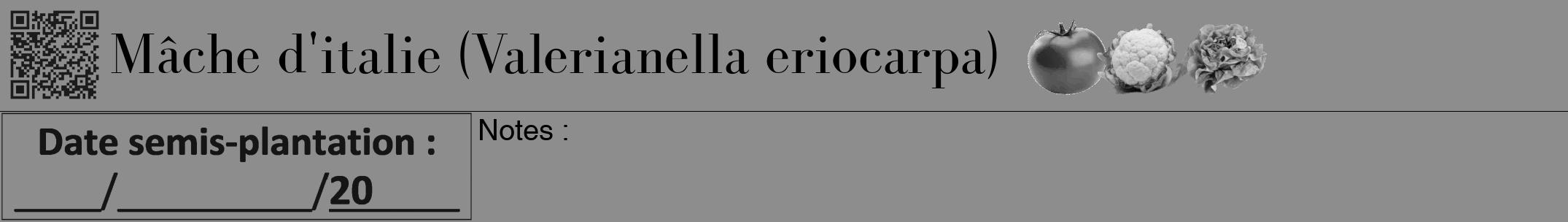 Étiquette de : Valerianella eriocarpa - format a - style noire2bod avec qrcode et comestibilité simplifiée