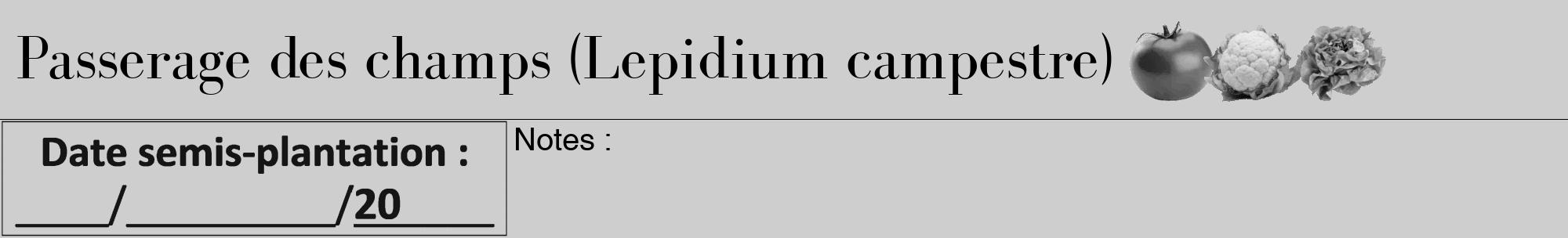 Étiquette de : Lepidium campestre - format a - style noire17bod avec comestibilité simplifiée