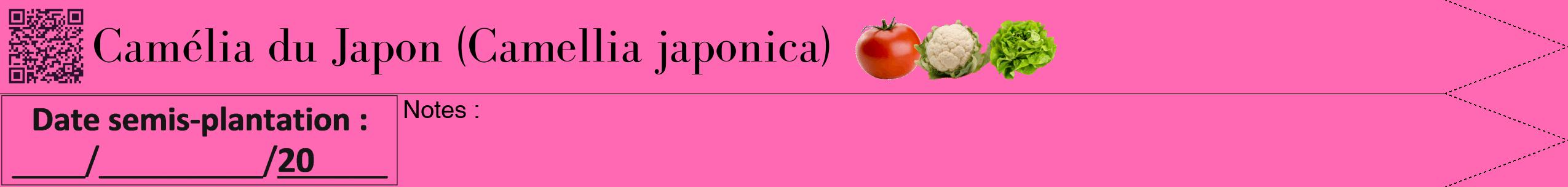 Étiquette de : Camellia japonica - format b - style noire42simplebod avec qrcode et comestibilité simplifiée