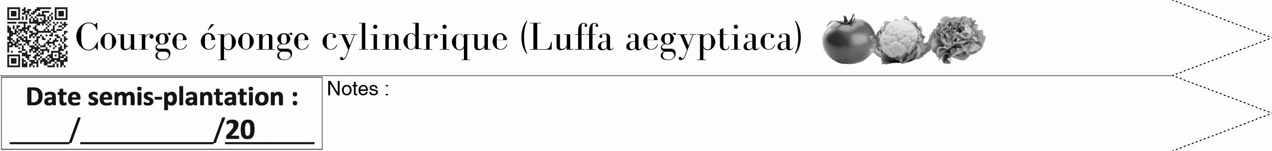 Étiquette de : Luffa aegyptiaca - format b - style noire19bod avec qrcode et comestibilité simplifiée