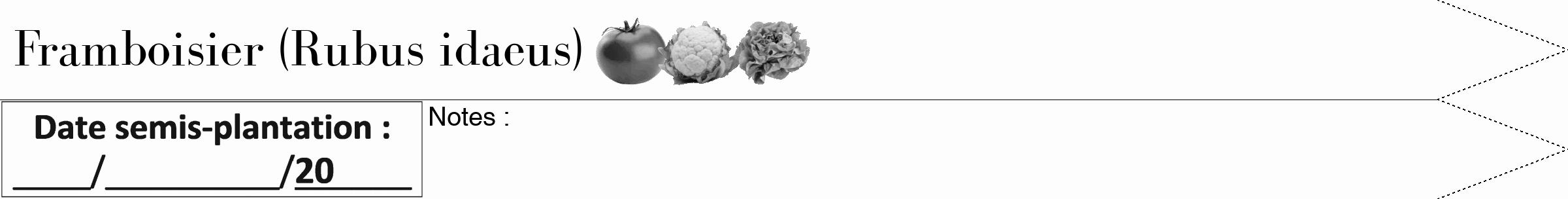 Étiquette de : Rubus idaeus - format b - style noire19bod avec comestibilité simplifiée