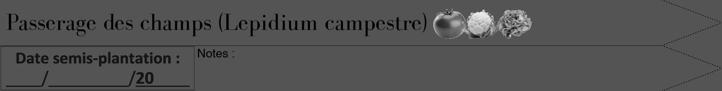 Étiquette de : Lepidium campestre - format b - style noire36bod avec comestibilité simplifiée