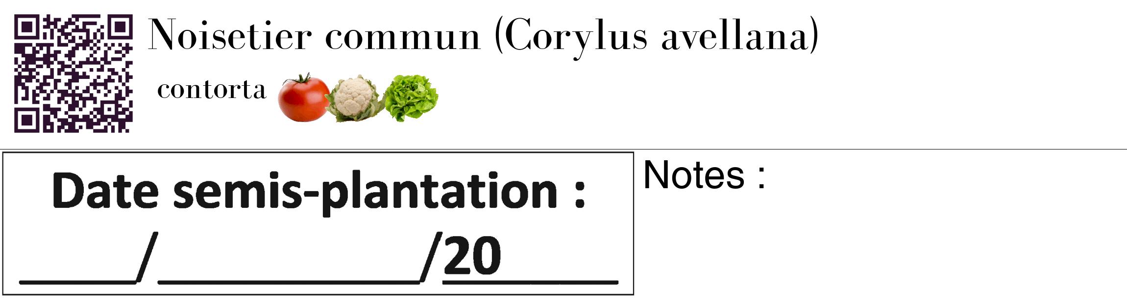 Étiquette de : Corylus avellana contorta - format c - style noire60_basique_basiquebod avec qrcode et comestibilité simplifiée