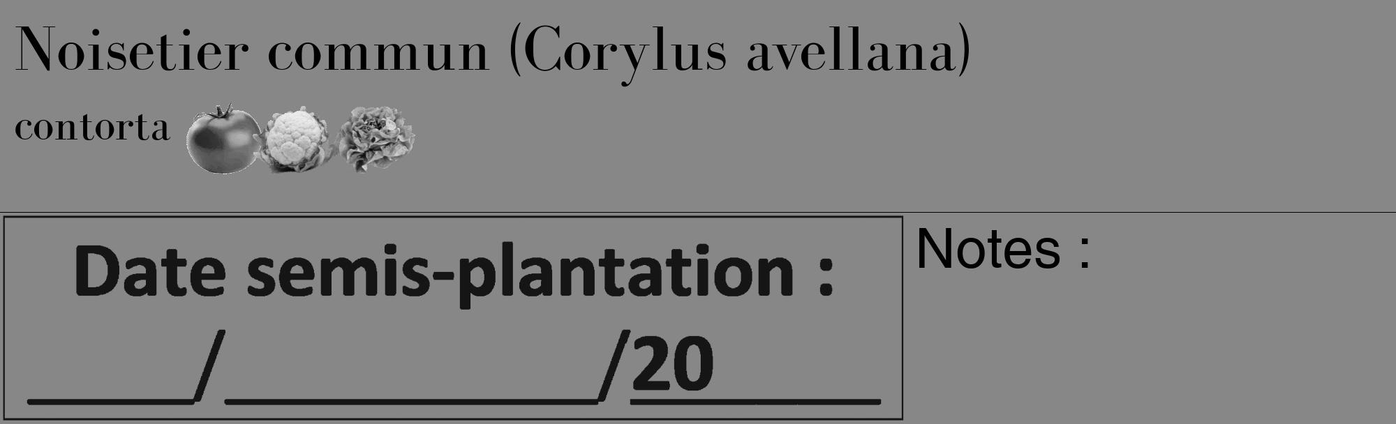 Étiquette de : Corylus avellana contorta - format c - style noire12_basique_basiquebod avec comestibilité simplifiée