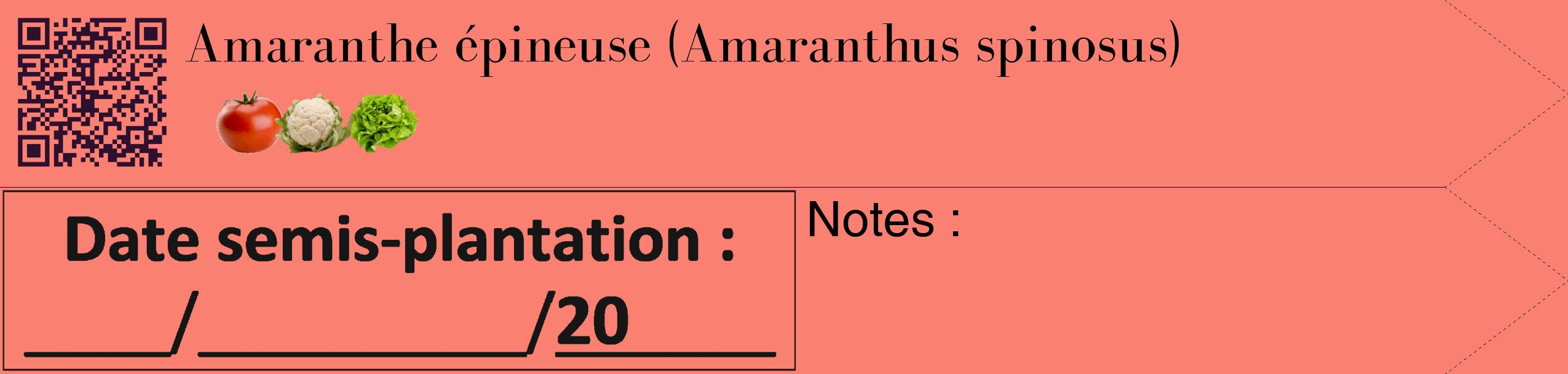 Étiquette de : Amaranthus spinosus - format c - style noire38_simple_simplebod avec qrcode et comestibilité simplifiée