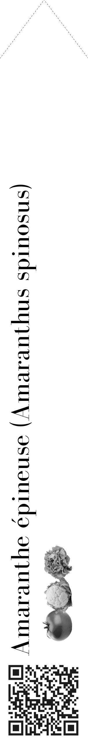Étiquette de : Amaranthus spinosus - format c - style noire60_simple_simplebod avec qrcode et comestibilité simplifiée - position verticale