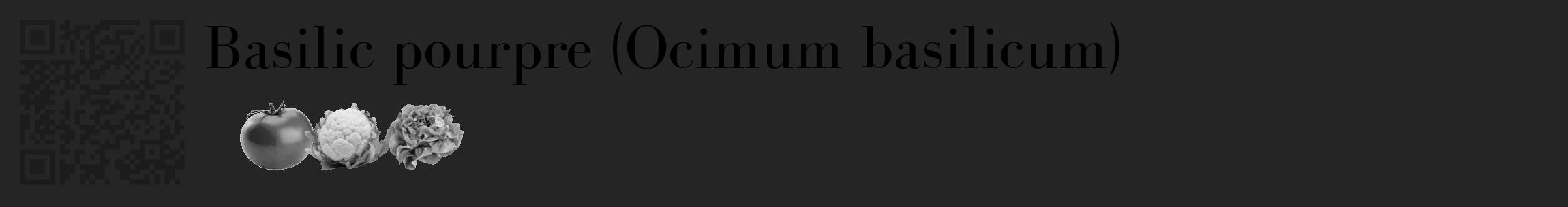 Étiquette de : Ocimum basilicum - format c - style noire47_basique_basiquebod avec qrcode et comestibilité simplifiée