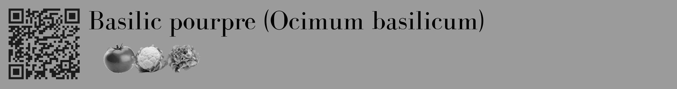 Étiquette de : Ocimum basilicum - format c - style noire52_basique_basiquebod avec qrcode et comestibilité simplifiée