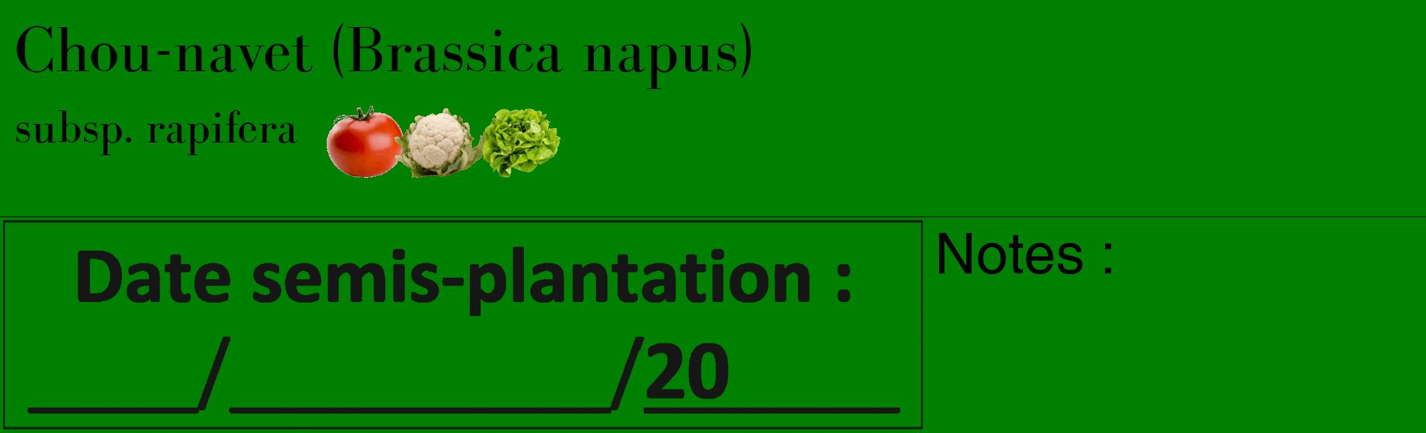 Étiquette de : Brassica napus subsp. rapifera - format c - style noire9_basique_basiquebod avec comestibilité simplifiée