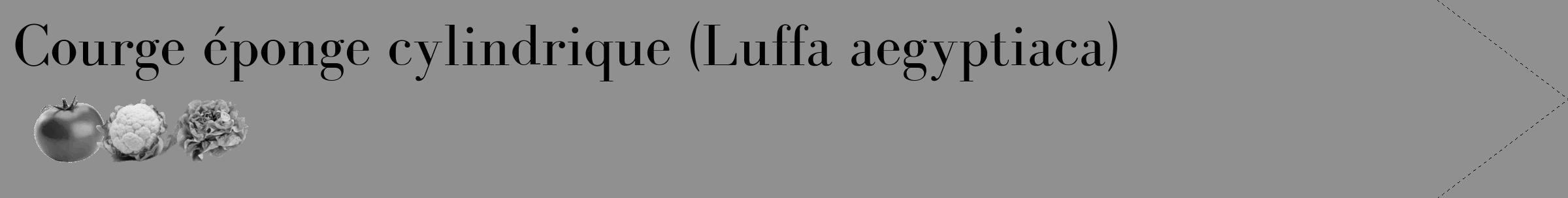 Étiquette de : Luffa aegyptiaca - format c - style noire4_simple_simplebod avec comestibilité simplifiée