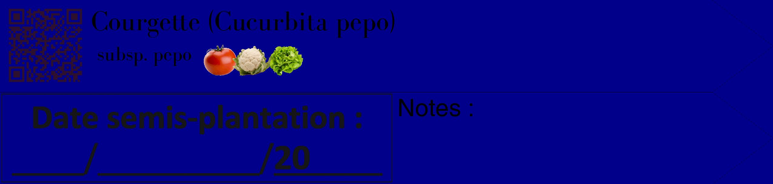 Étiquette de : Cucurbita pepo subsp. pepo - format c - style noire7_simple_simplebod avec qrcode et comestibilité simplifiée