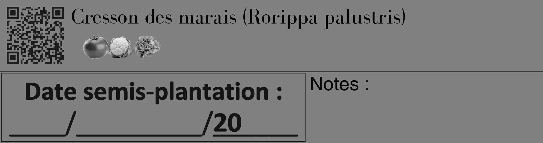 Étiquette de : Rorippa palustris - format c - style noire50_basique_basiquebod avec qrcode et comestibilité simplifiée