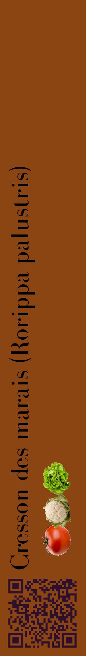 Étiquette de : Rorippa palustris - format c - style noire30_basiquebod avec qrcode et comestibilité simplifiée