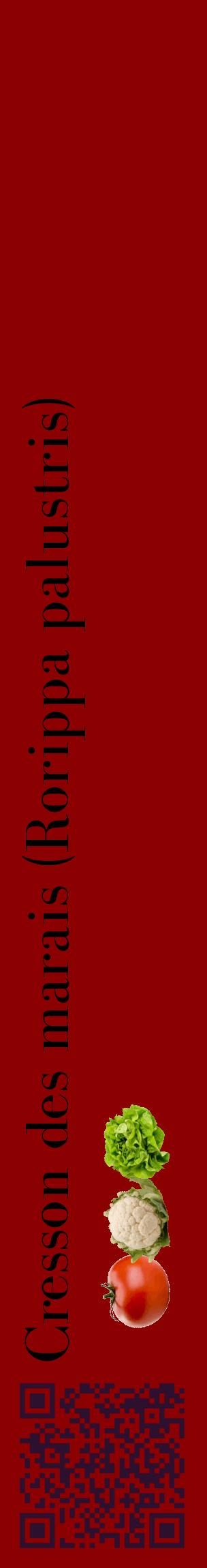 Étiquette de : Rorippa palustris - format c - style noire34_basiquebod avec qrcode et comestibilité simplifiée
