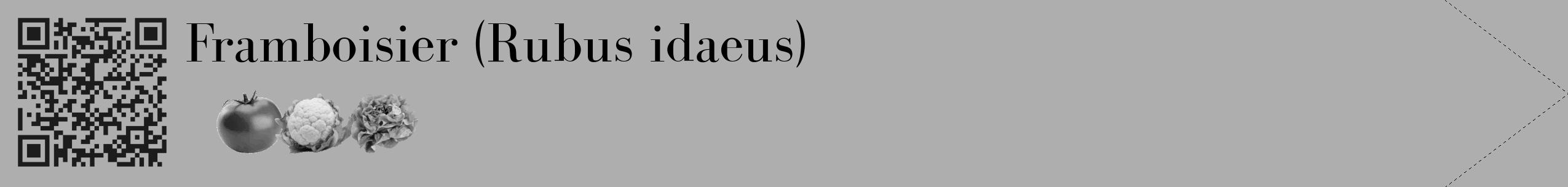 Étiquette de : Rubus idaeus - format c - style noire53_simple_simplebod avec qrcode et comestibilité simplifiée