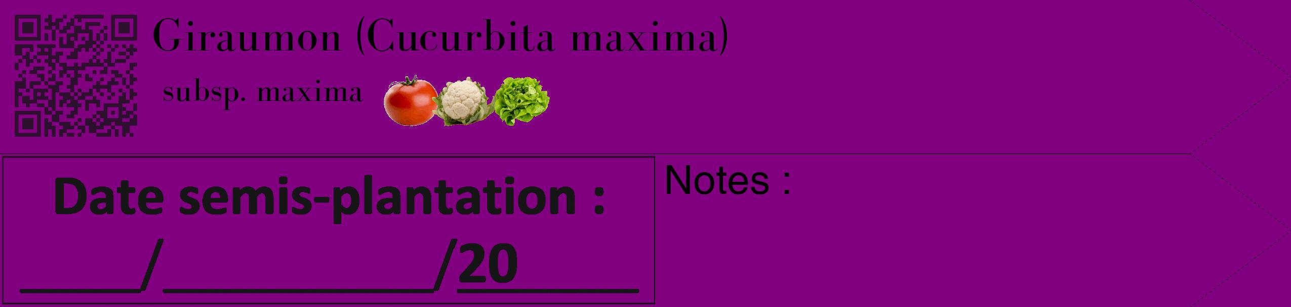 Étiquette de : Cucurbita maxima subsp. maxima - format c - style noire46_simple_simplebod avec qrcode et comestibilité simplifiée