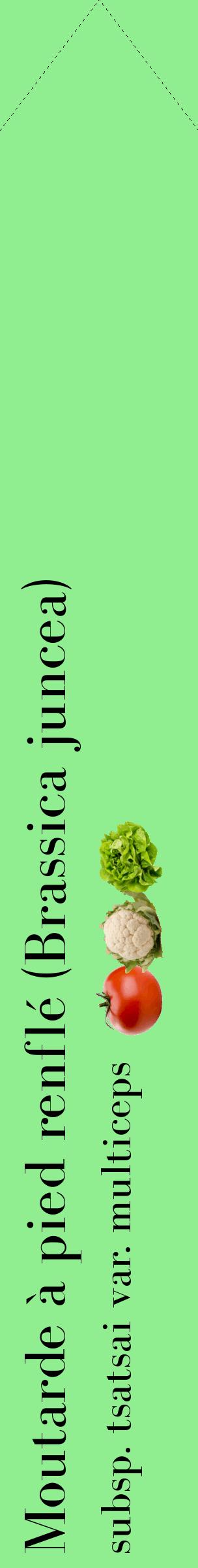 Étiquette de : Brassica juncea subsp. tsatsai var. multiceps - format c - style noire15_simplebod avec comestibilité simplifiée