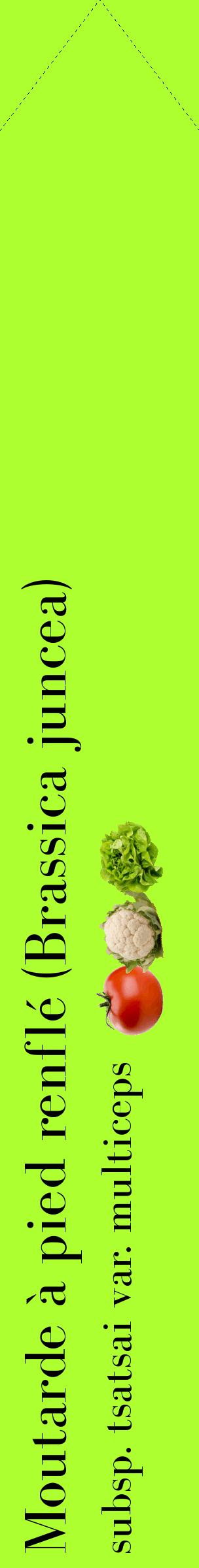 Étiquette de : Brassica juncea subsp. tsatsai var. multiceps - format c - style noire17_simplebod avec comestibilité simplifiée