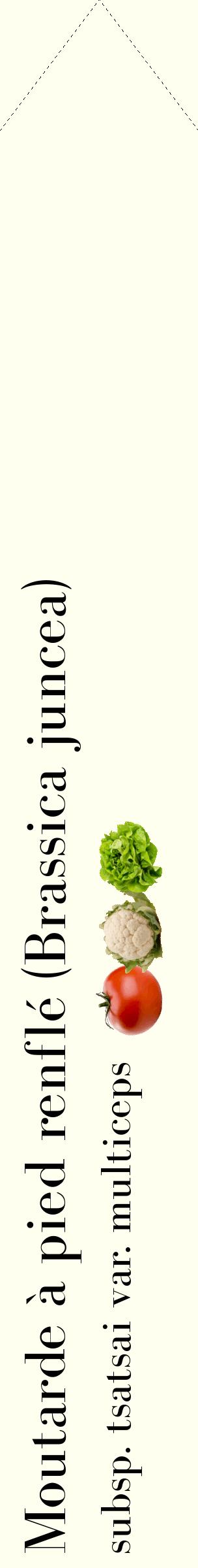 Étiquette de : Brassica juncea subsp. tsatsai var. multiceps - format c - style noire19_simplebod avec comestibilité simplifiée