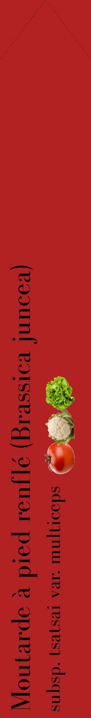 Étiquette de : Brassica juncea subsp. tsatsai var. multiceps - format c - style noire28_simplebod avec comestibilité simplifiée