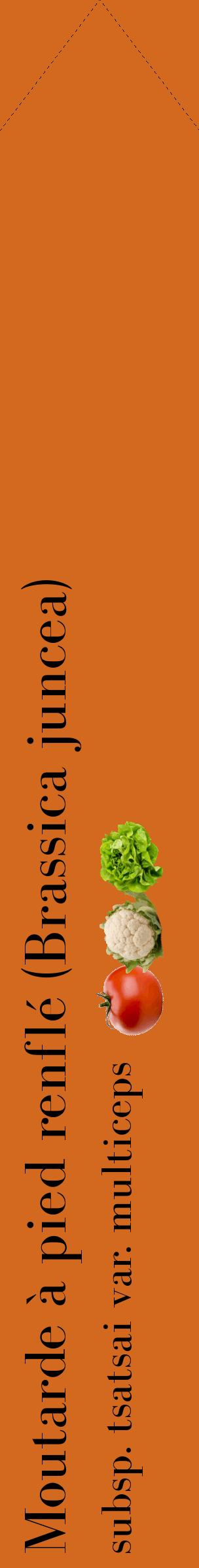 Étiquette de : Brassica juncea subsp. tsatsai var. multiceps - format c - style noire31_simplebod avec comestibilité simplifiée