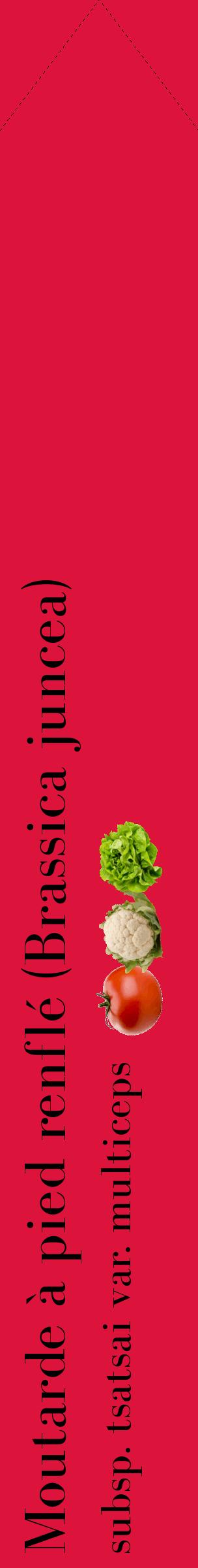 Étiquette de : Brassica juncea subsp. tsatsai var. multiceps - format c - style noire36_simplebod avec comestibilité simplifiée