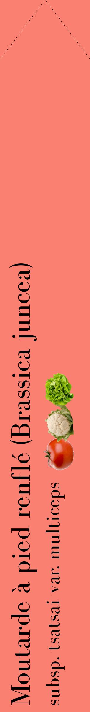 Étiquette de : Brassica juncea subsp. tsatsai var. multiceps - format c - style noire38_simplebod avec comestibilité simplifiée
