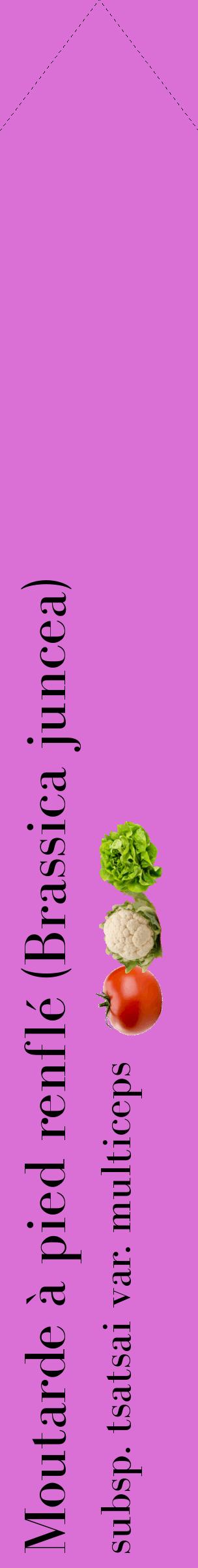 Étiquette de : Brassica juncea subsp. tsatsai var. multiceps - format c - style noire52_simplebod avec comestibilité simplifiée