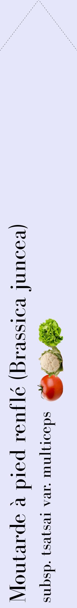 Étiquette de : Brassica juncea subsp. tsatsai var. multiceps - format c - style noire55_simplebod avec comestibilité simplifiée