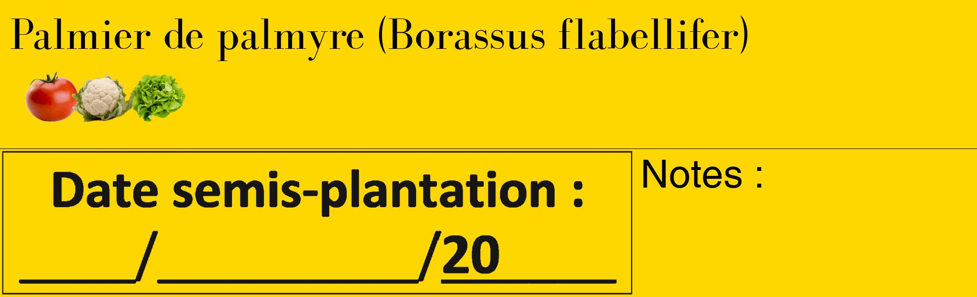 Étiquette de : Borassus flabellifer - format c - style noire21_basique_basiquebod avec comestibilité simplifiée