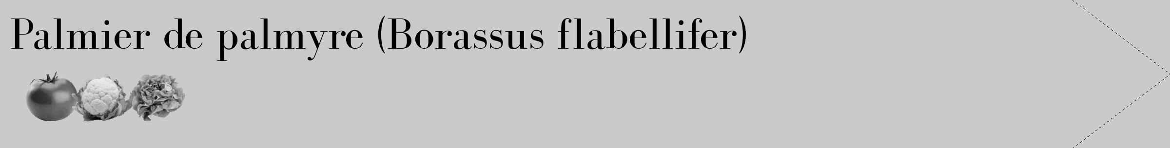 Étiquette de : Borassus flabellifer - format c - style noire21_simple_simplebod avec comestibilité simplifiée