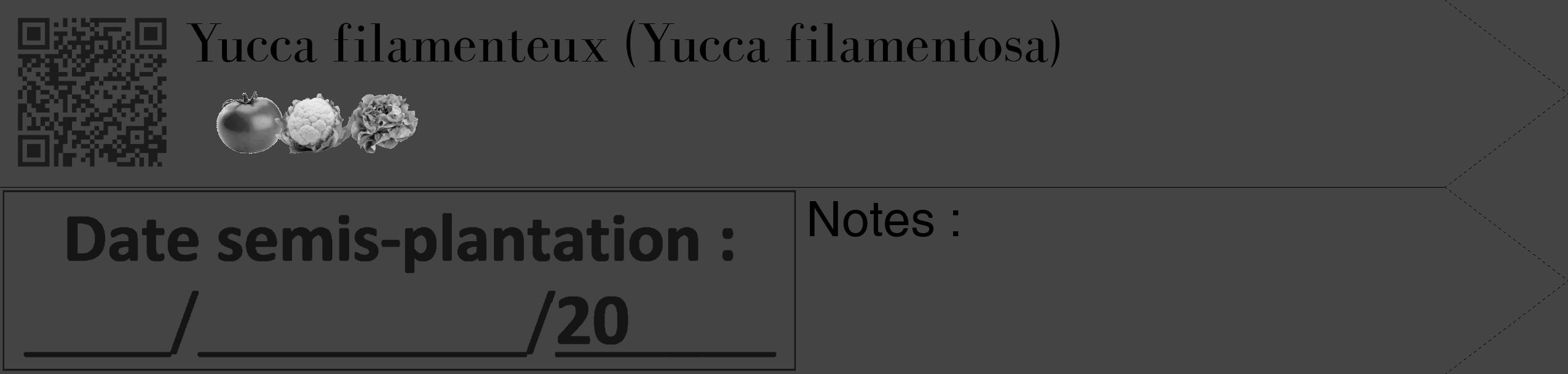 Étiquette de : Yucca filamentosa - format c - style noire48_simple_simplebod avec qrcode et comestibilité simplifiée
