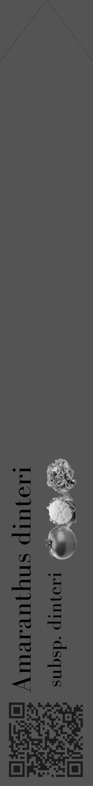 Étiquette de : Amaranthus dinteri subsp. dinteri - format c - style noire30simple_simple_simplebod avec qrcode et comestibilité simplifiée - position verticale
