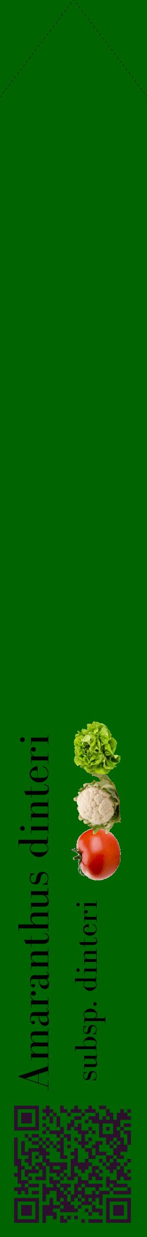 Étiquette de : Amaranthus dinteri subsp. dinteri - format c - style noire8_simplebod avec qrcode et comestibilité simplifiée