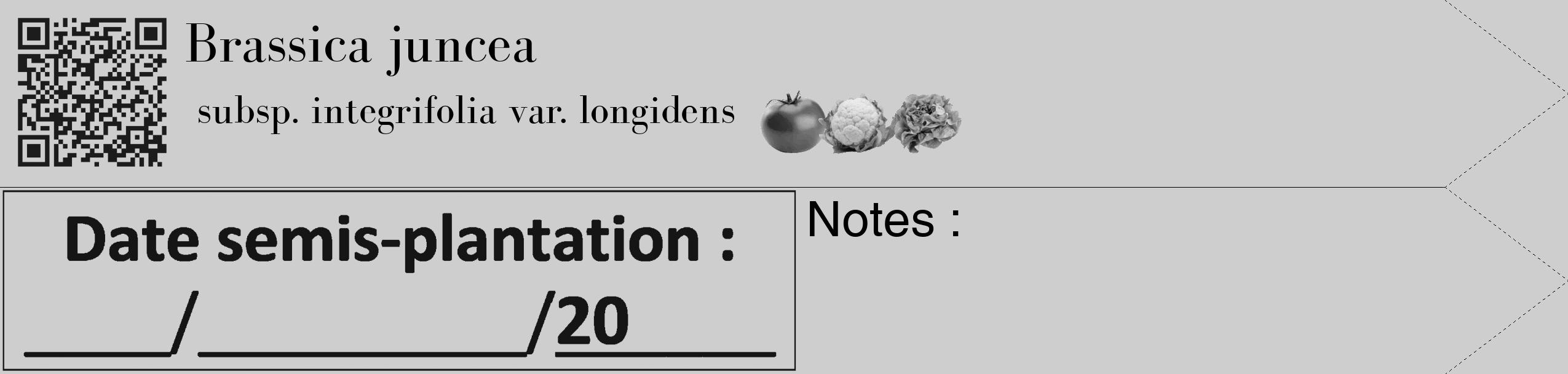 Étiquette de : Brassica juncea subsp. integrifolia var. longidens - format c - style noire17_simple_simplebod avec qrcode et comestibilité simplifiée