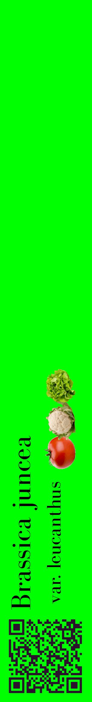 Étiquette de : Brassica juncea var. leucanthus - format c - style noire16_basiquebod avec qrcode et comestibilité simplifiée
