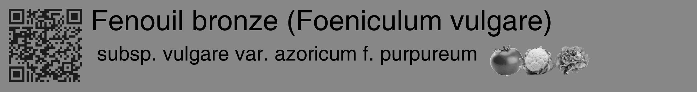 Étiquette de : Foeniculum vulgare subsp. vulgare var. azoricum f. purpureum - format c - style noire12_basique_basiquehel avec qrcode et comestibilité simplifiée