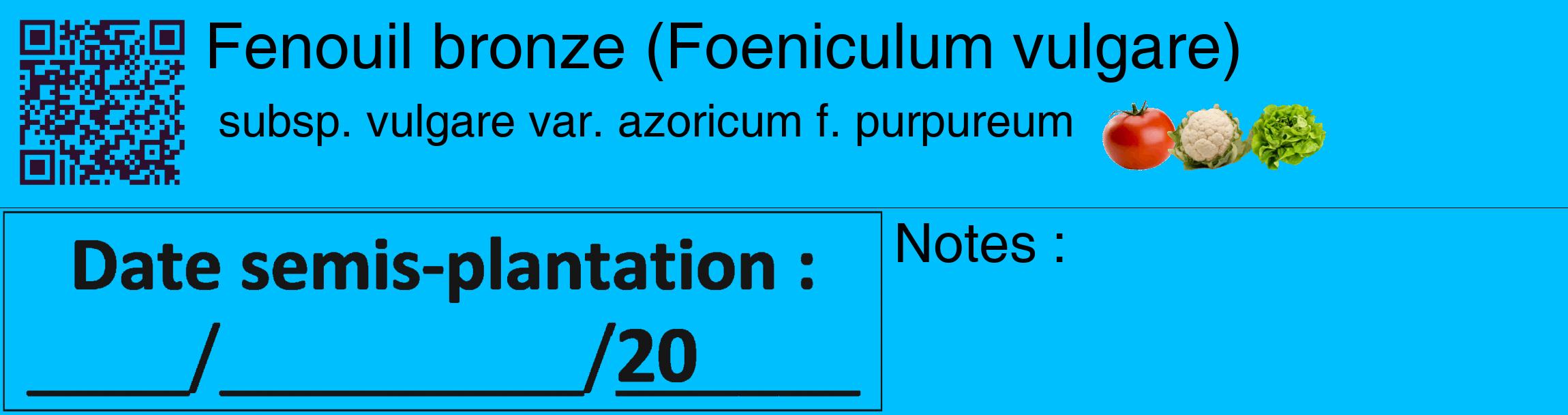 Étiquette de : Foeniculum vulgare subsp. vulgare var. azoricum f. purpureum - format c - style noire2_basique_basiquehel avec qrcode et comestibilité simplifiée