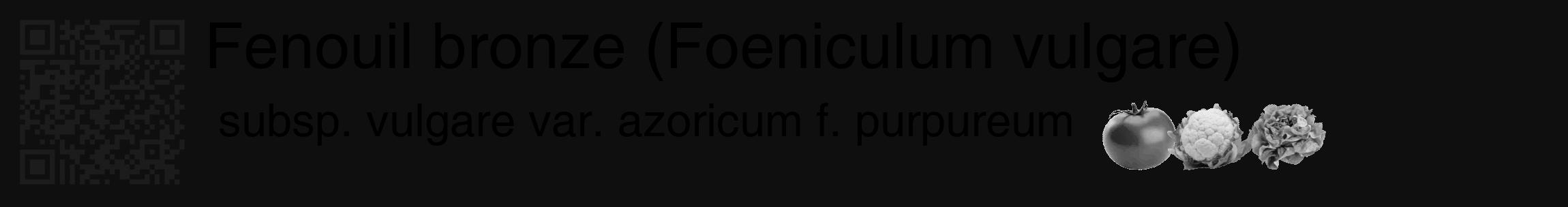 Étiquette de : Foeniculum vulgare subsp. vulgare var. azoricum f. purpureum - format c - style noire7_basique_basiquehel avec qrcode et comestibilité simplifiée