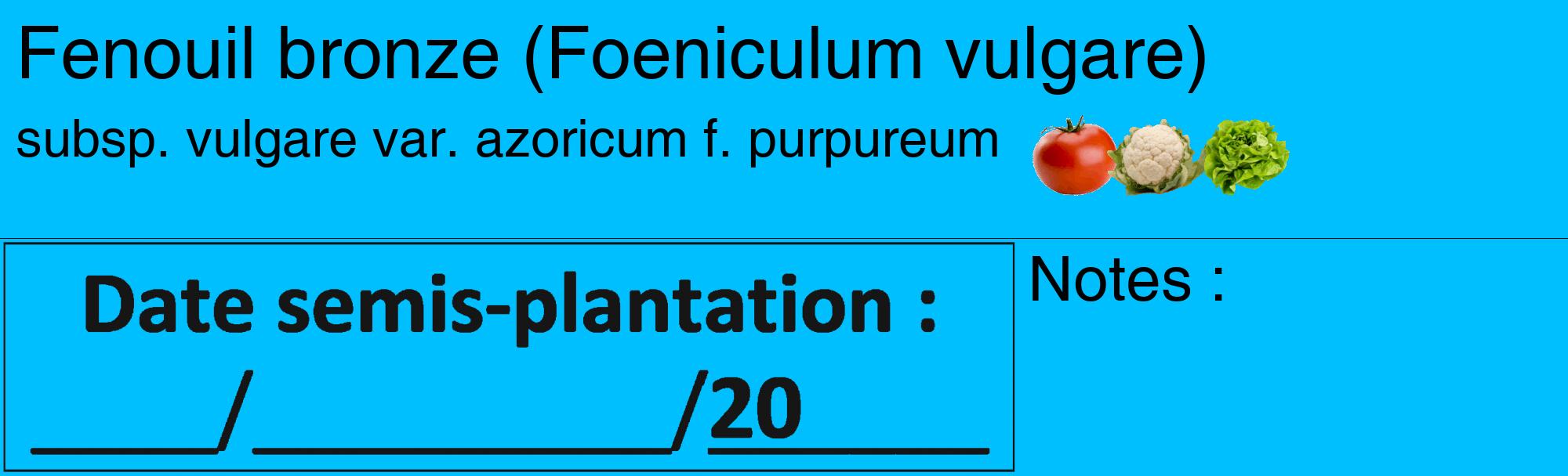 Étiquette de : Foeniculum vulgare subsp. vulgare var. azoricum f. purpureum - format c - style noire2basique_basique_basiquehel avec comestibilité simplifiée