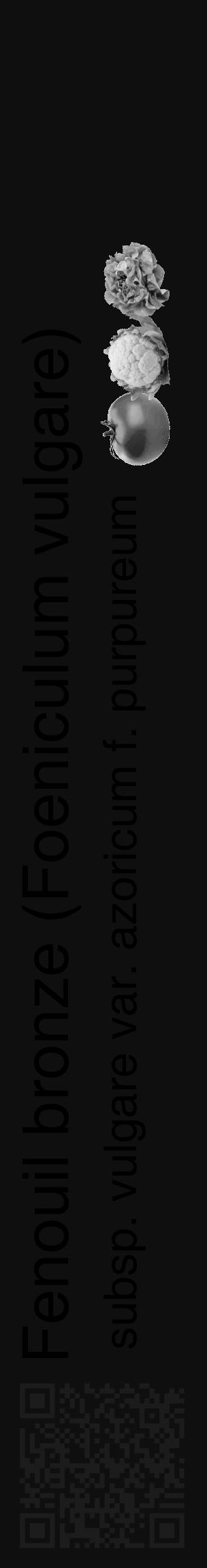 Étiquette de : Foeniculum vulgare subsp. vulgare var. azoricum f. purpureum - format c - style noire7_basique_basiquehel avec qrcode et comestibilité simplifiée - position verticale