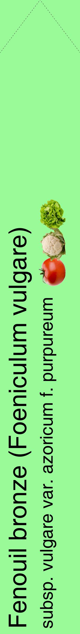 Étiquette de : Foeniculum vulgare subsp. vulgare var. azoricum f. purpureum - format c - style noire14_simplehel avec comestibilité simplifiée